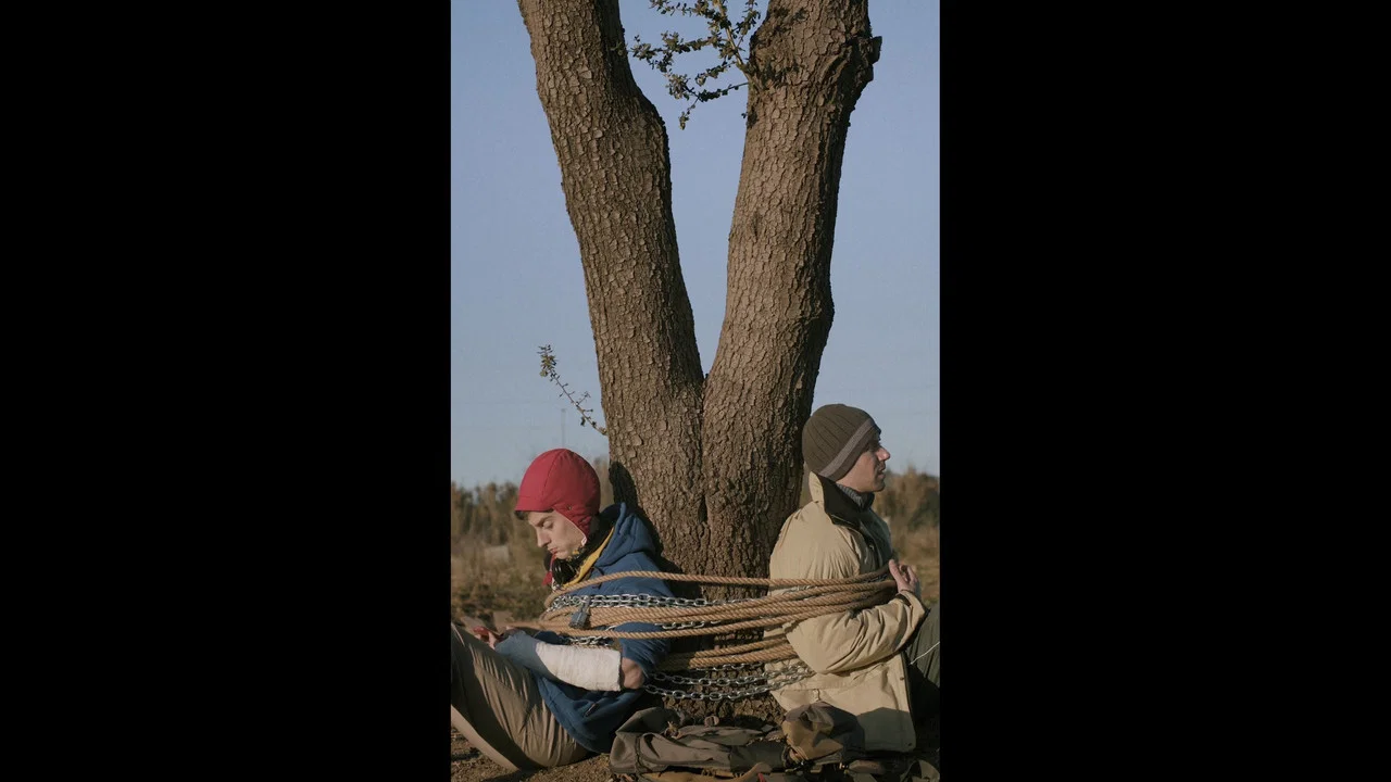 El crit sord dels arbres - 剧照