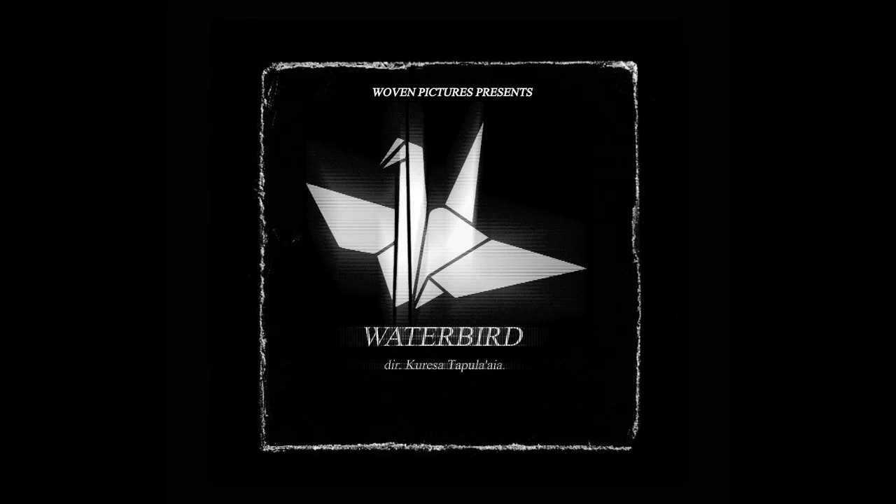 Waterbird - 剧照