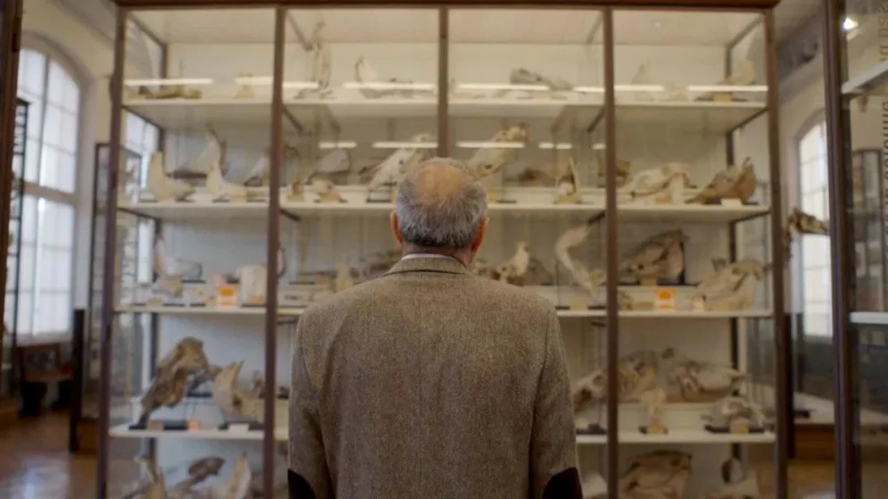 Covid, le secret des origines - 剧照