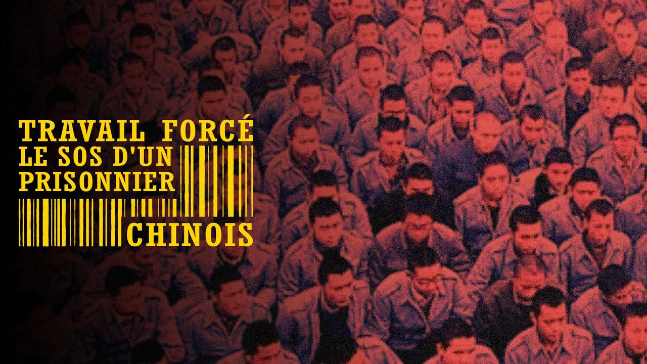 中国信：中国监狱SOS - 剧照