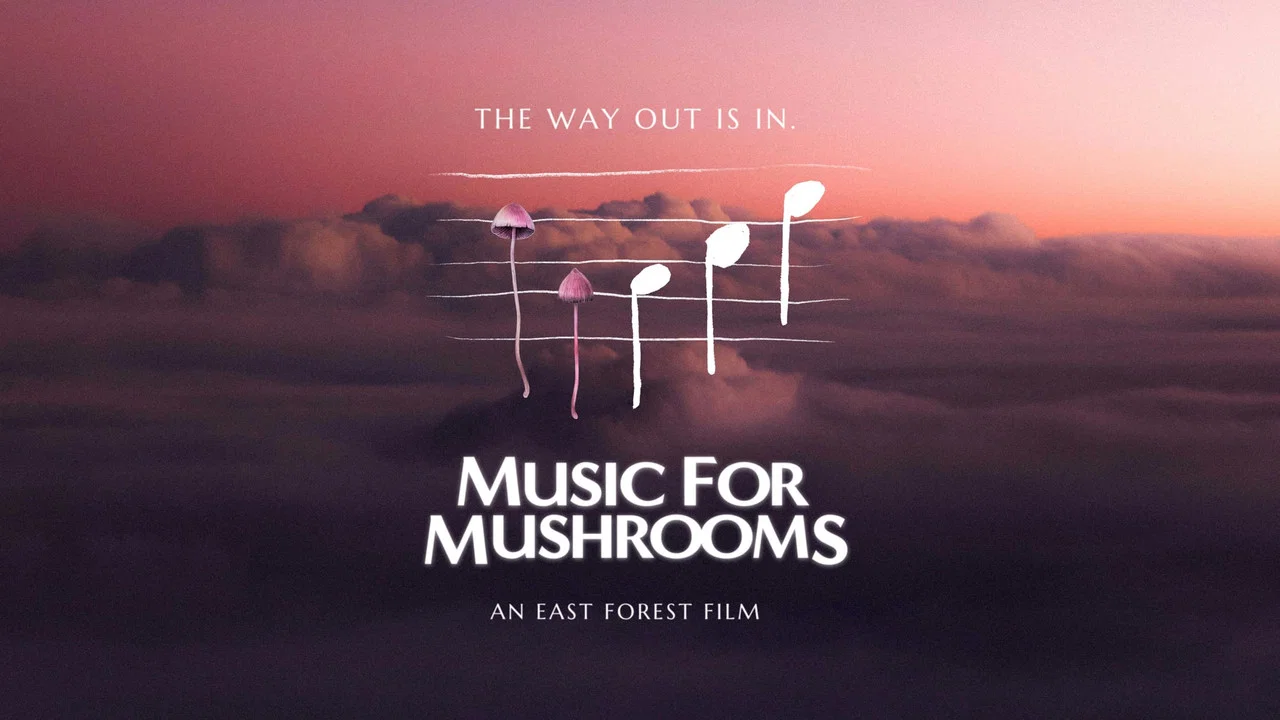 Music for Mushrooms - 剧照