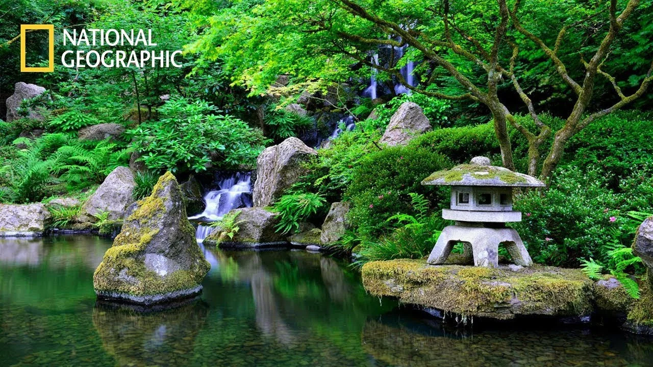 映像诗：日本里山神秘水上花园 - 剧照