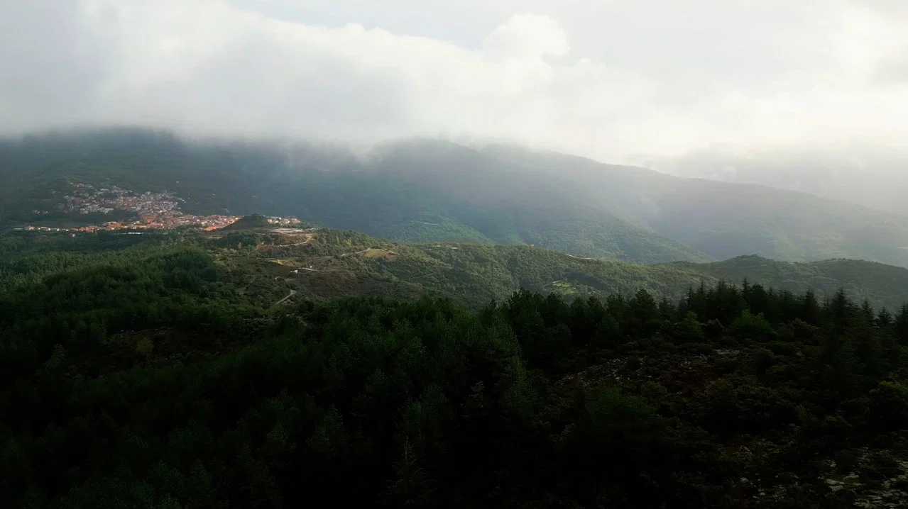 Sonaggios - 剧照