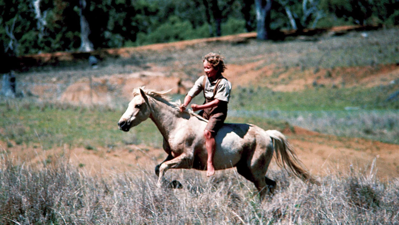 Ride a Wild Pony - 剧照