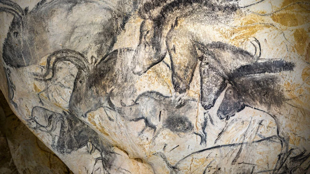 Grotte Chauvet - Dans les pas des artistes de la Pr&eacute;histoire - 剧照