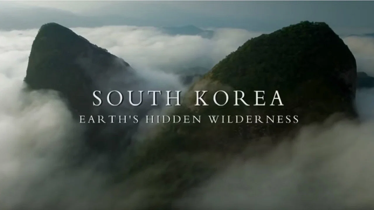 South Korea: Earth's Hidden Wilderness - 剧照