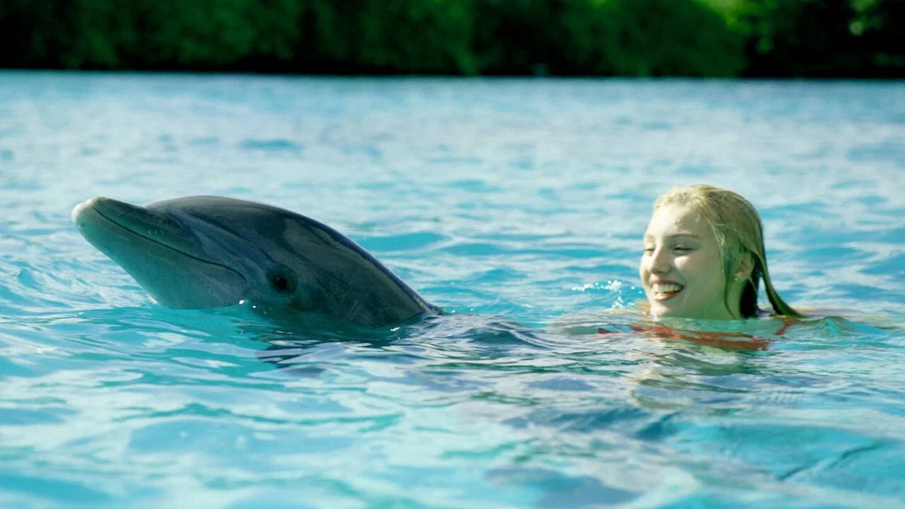 Dolphin Island - 剧照