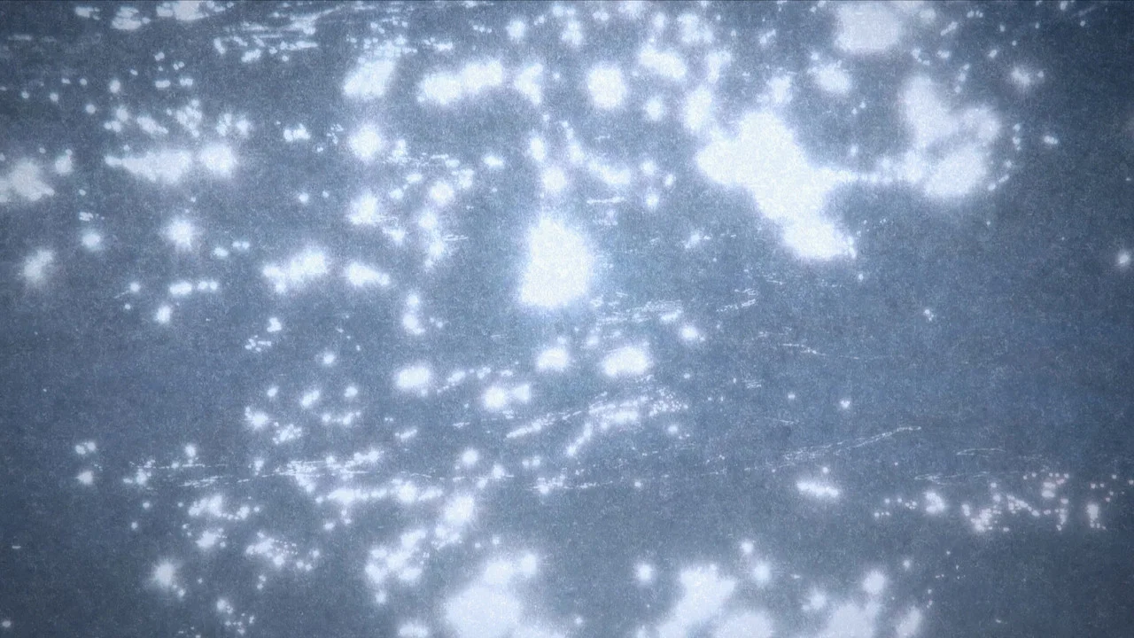 Microcosmos - 剧照