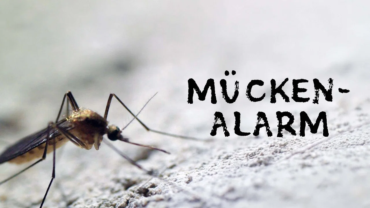 M&uuml;ckenalarm - Invasion der Plagegeister - 剧照