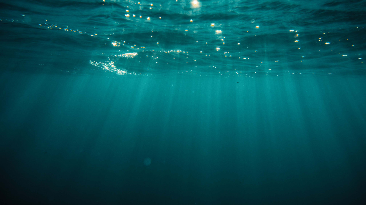 At Sea - 剧照