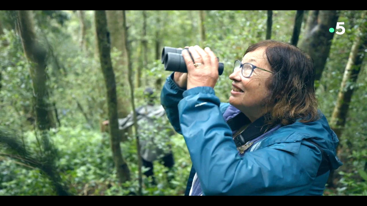 Ivohiboro: La For&ecirc;t Oubli&eacute;e - 剧照