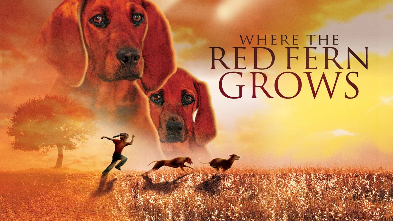 Where the Red Fern Grows - 剧照