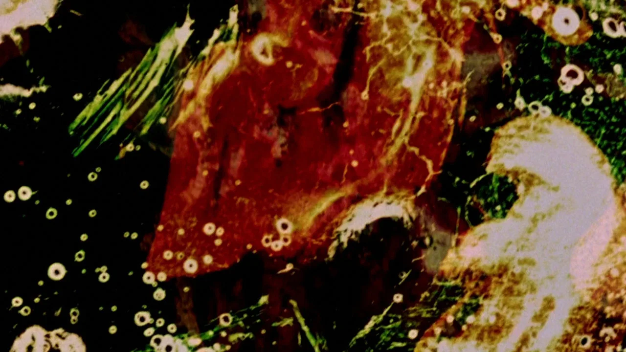Delicacies of Molten Horror Synapse - 剧照