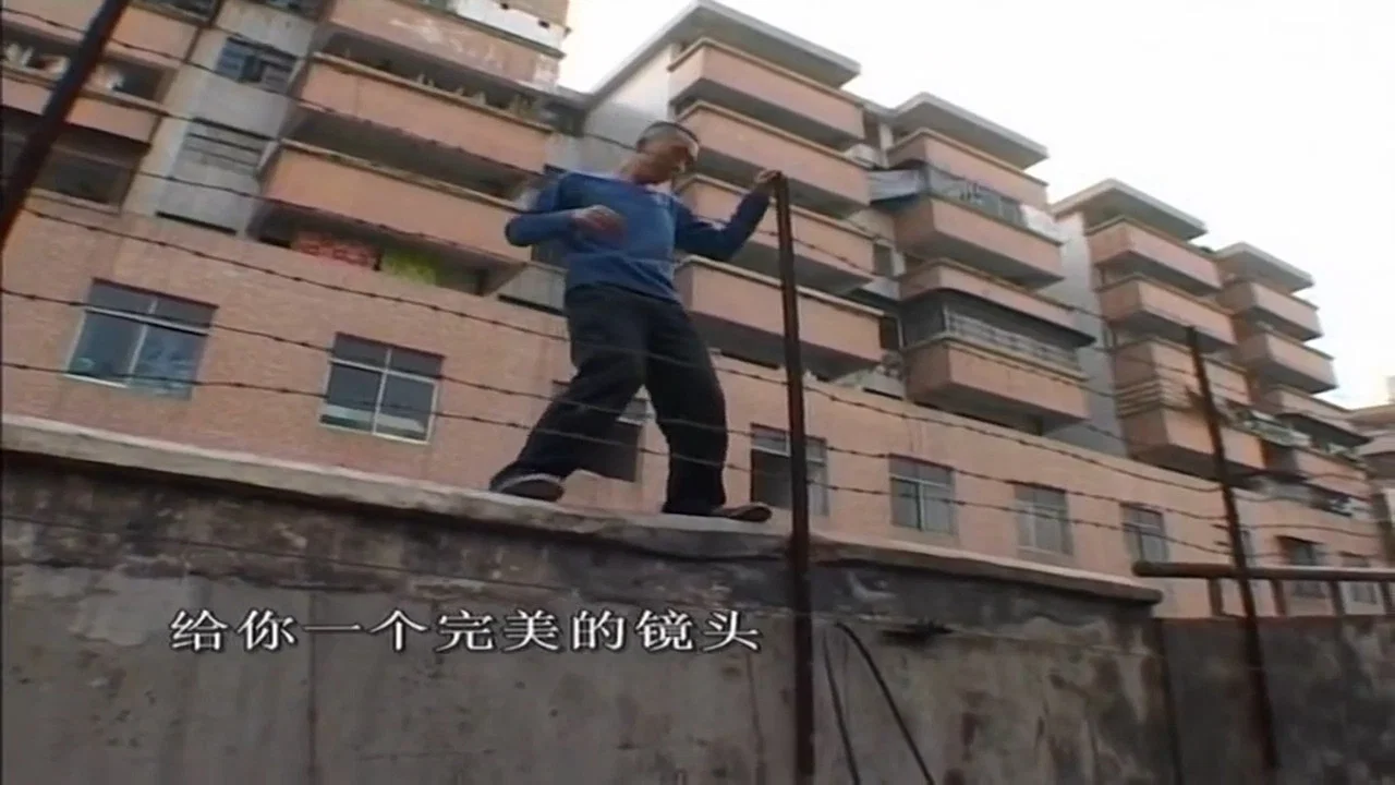 龙哥 - 剧照