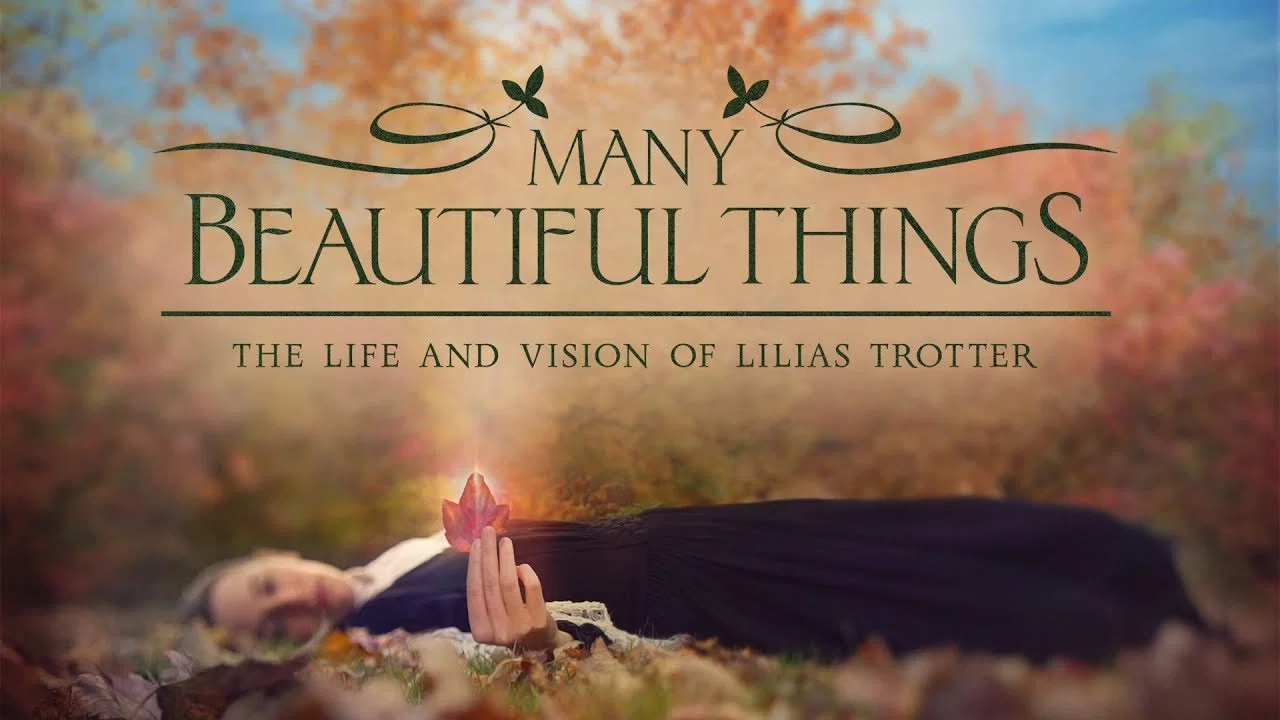 Many Beautiful Things - 剧照