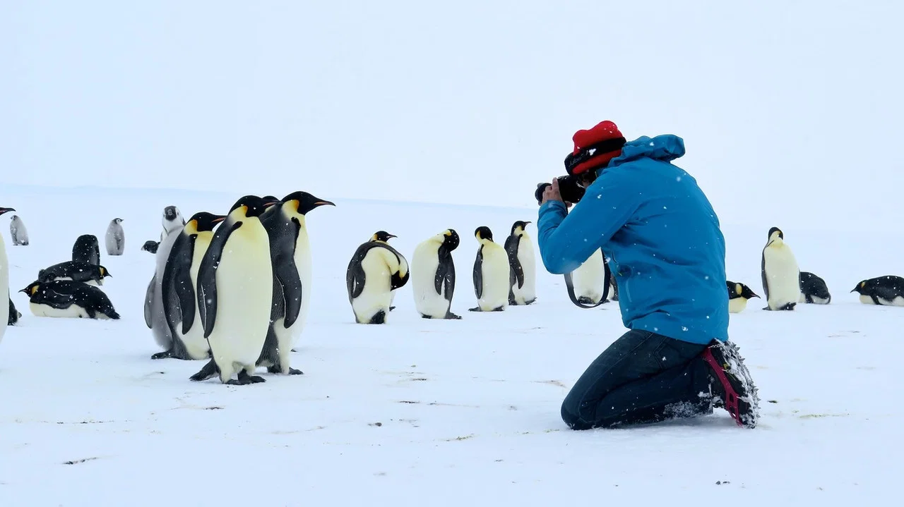 Antarctica, sur les traces de l'empereur - 剧照