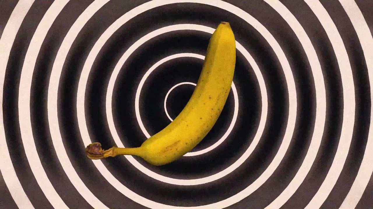 Going Bananas - 剧照