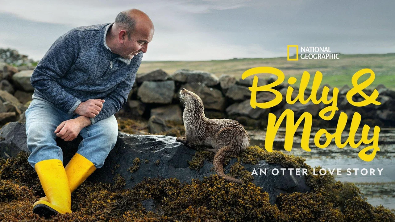 Billy & Molly: An Otter Love Story - 剧照