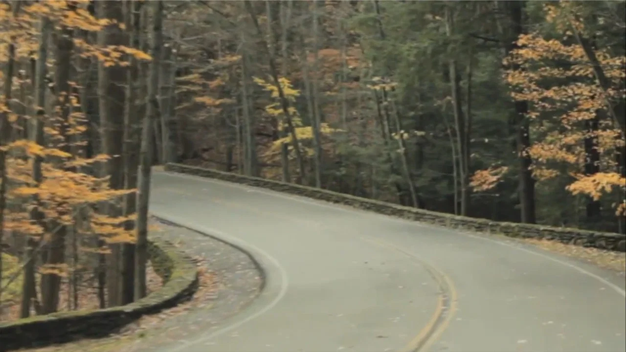 Fall - 剧照