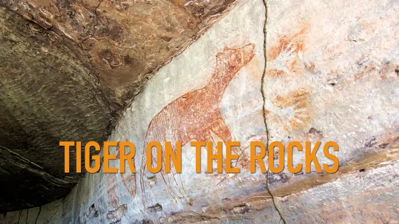 Tiger on the Rocks - 剧照