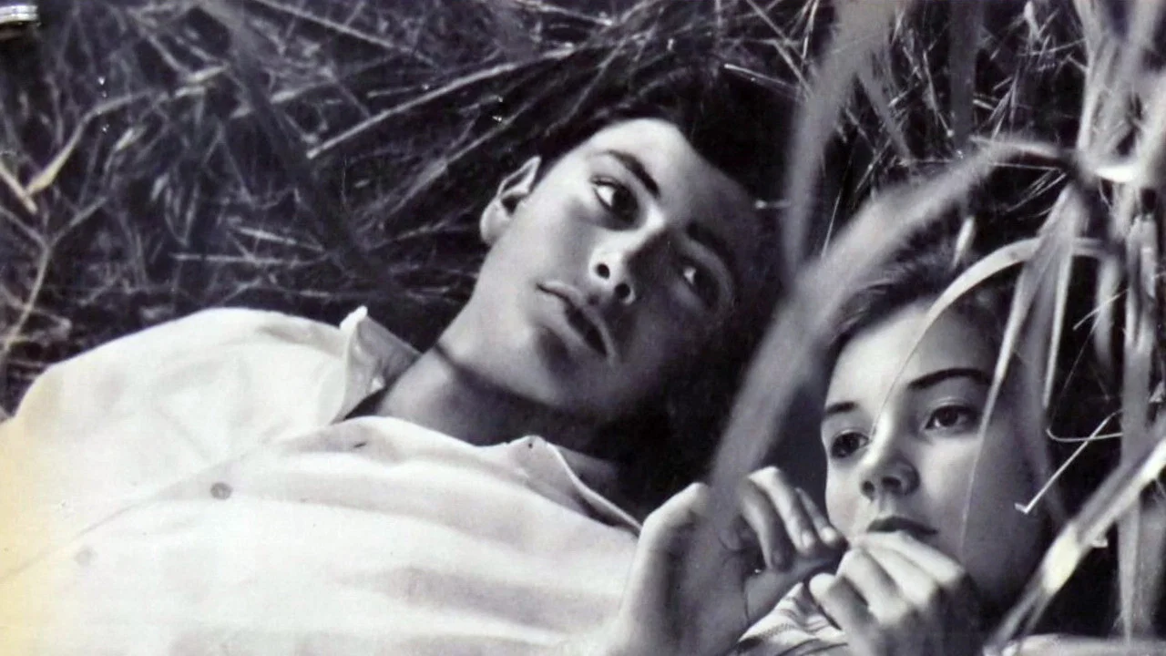 Le italiane e l'amore - 剧照