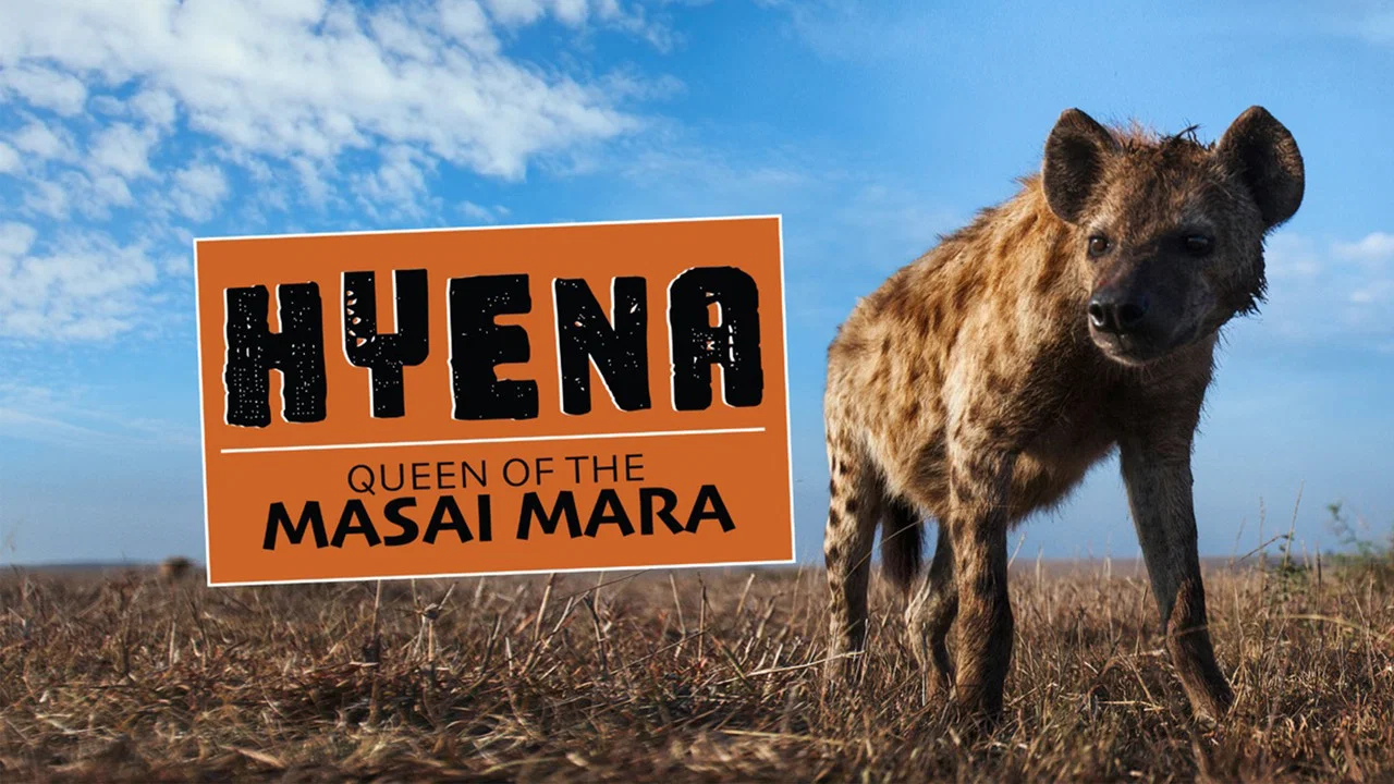 Hyena: Queen of the Masai Mara - 剧照