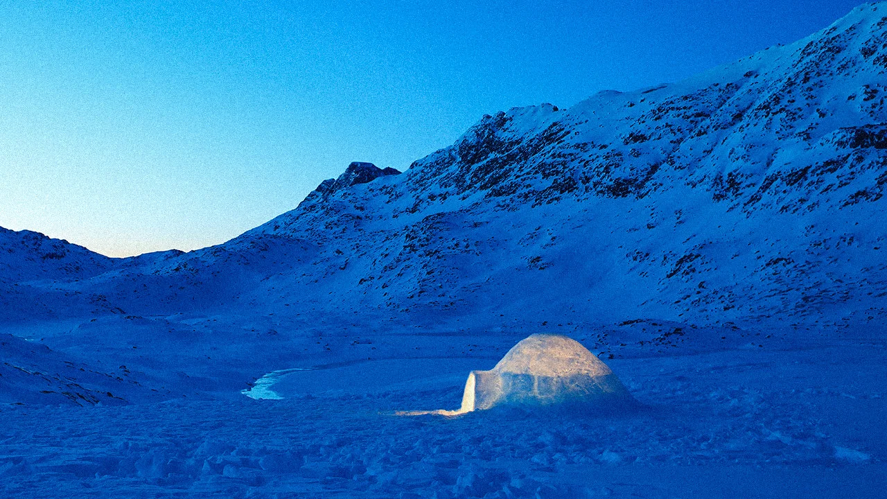 The Last Igloo - 剧照