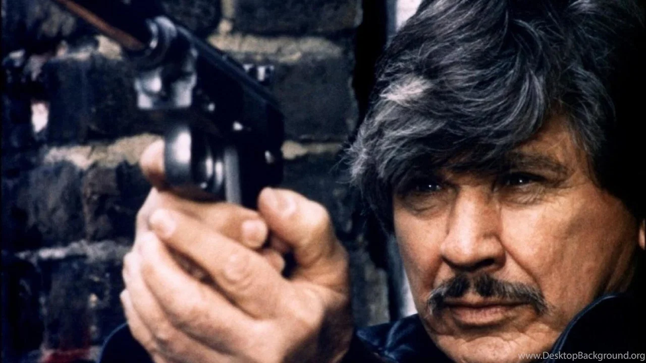 Charles Bronson, le g&eacute;nie du m&acirc;le - 剧照