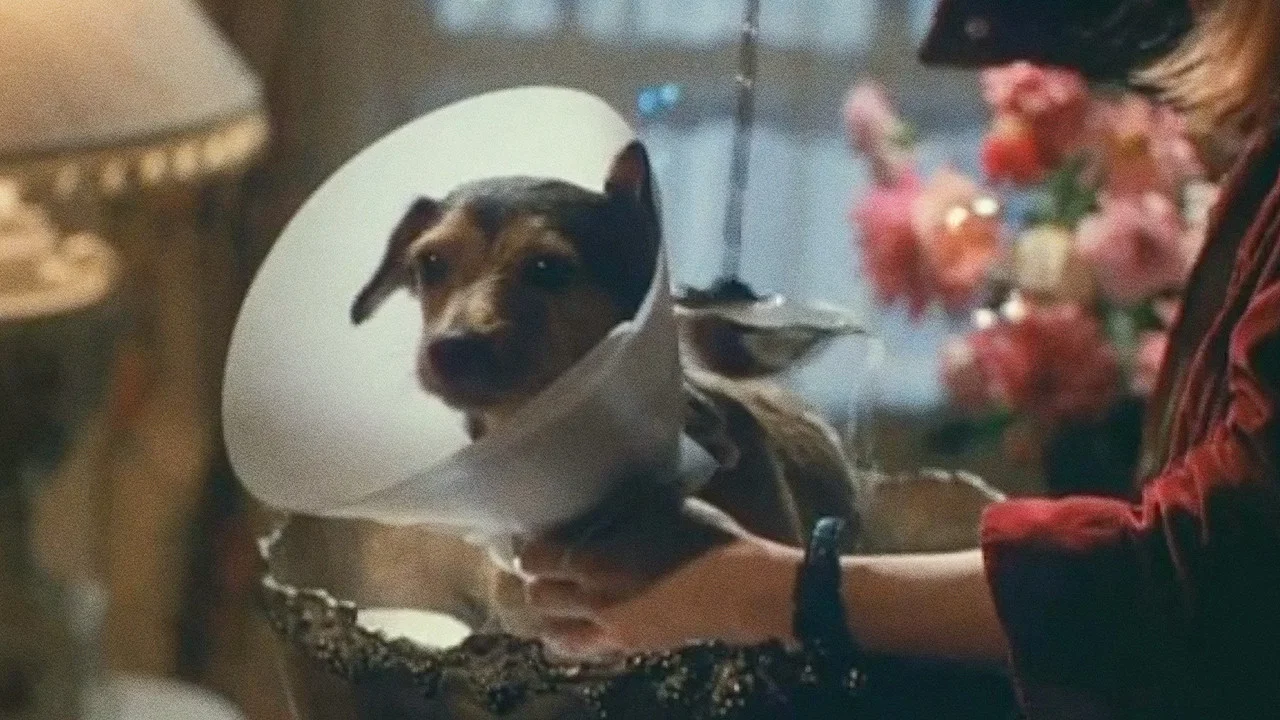 Every Dog Has Its Day - 剧照