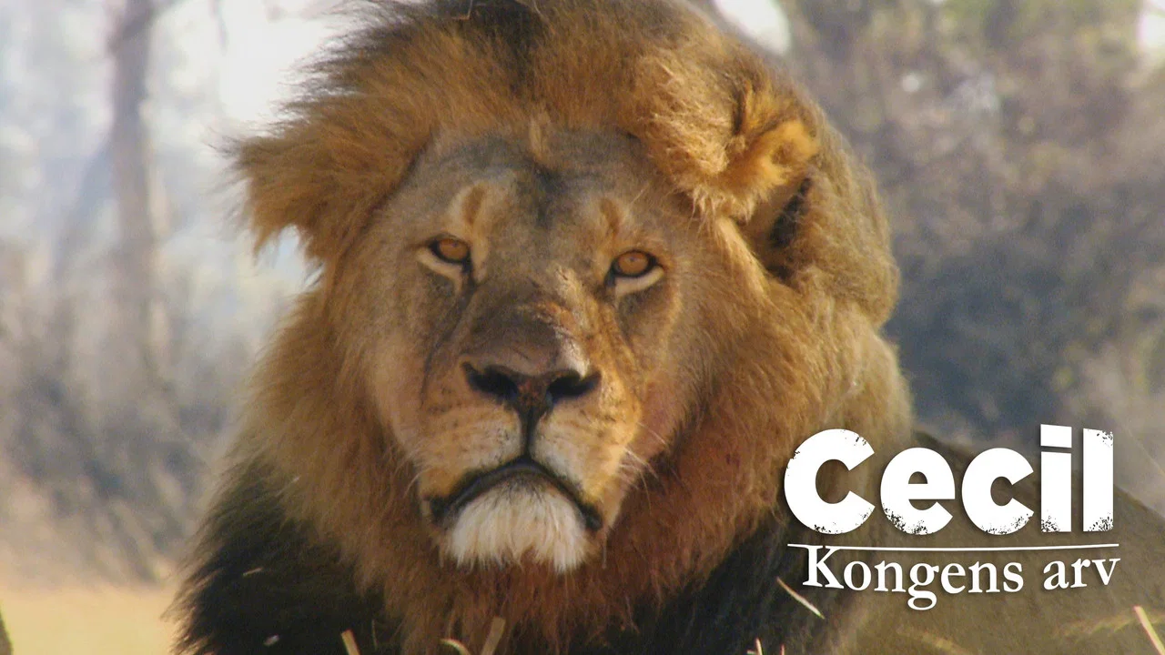 Cecil: The Legacy of a King - 剧照