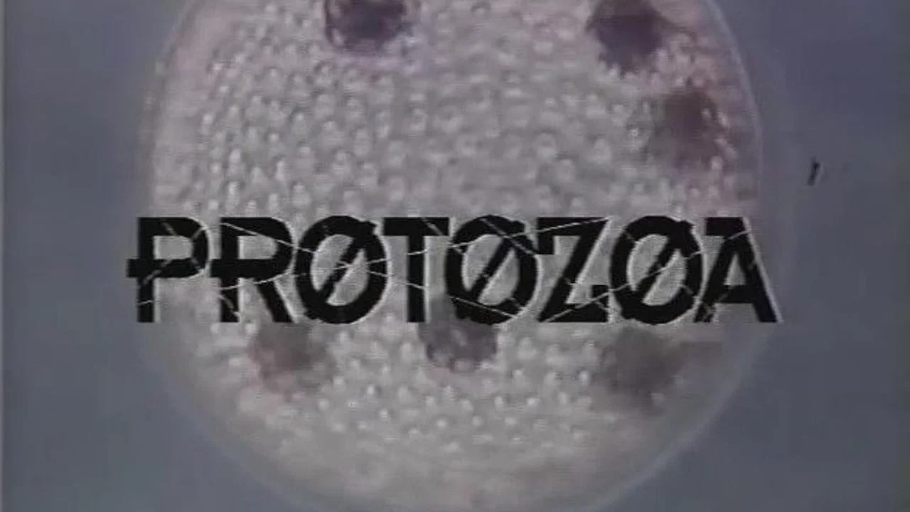 Protozoa - 剧照