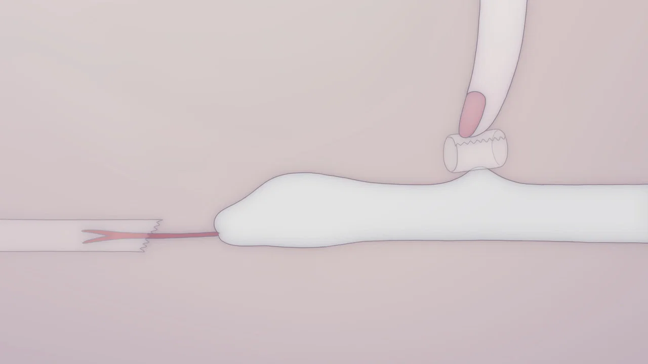 不安 な 体 - 剧照