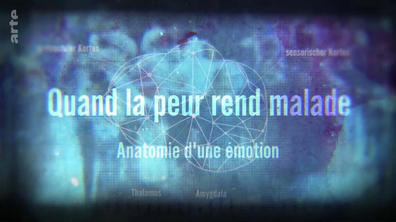 Quand la peur rend malade - Anatomie d'une &eacute;motion - 剧照