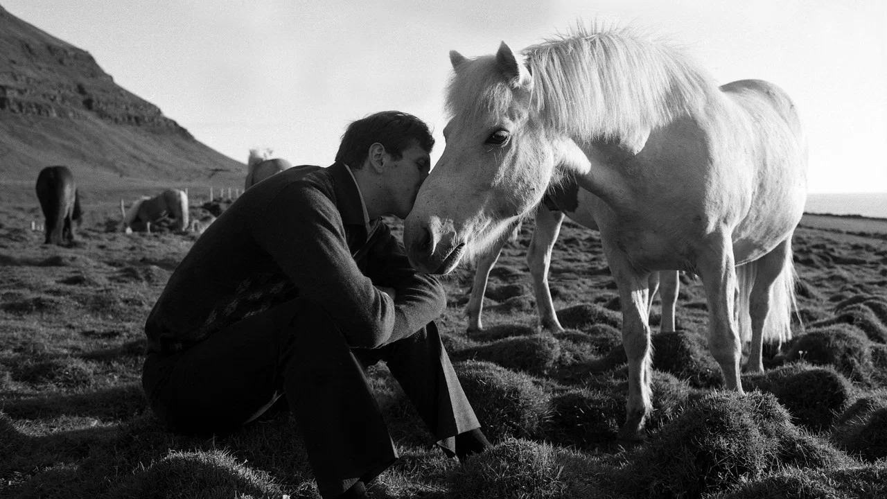 Bobby Fischer Against the World - 剧照