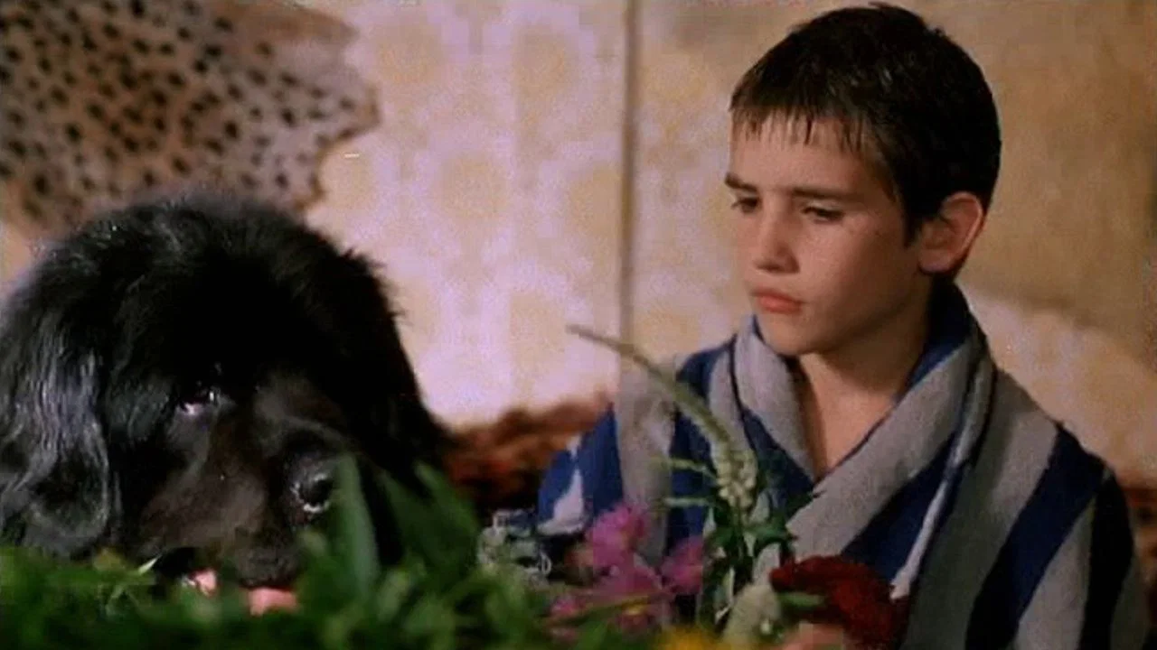 Der Junge mit dem gro&szlig;en schwarzen Hund - 剧照
