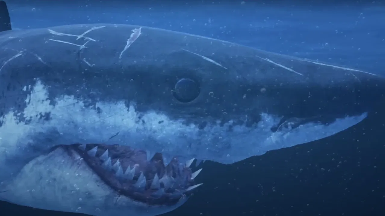 Mummy Shark - 剧照