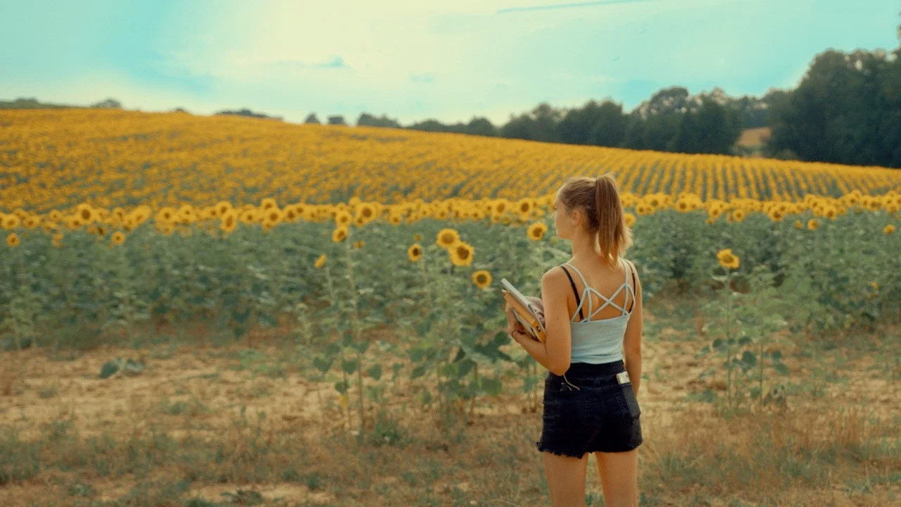 Se souvenir des tournesols - 剧照