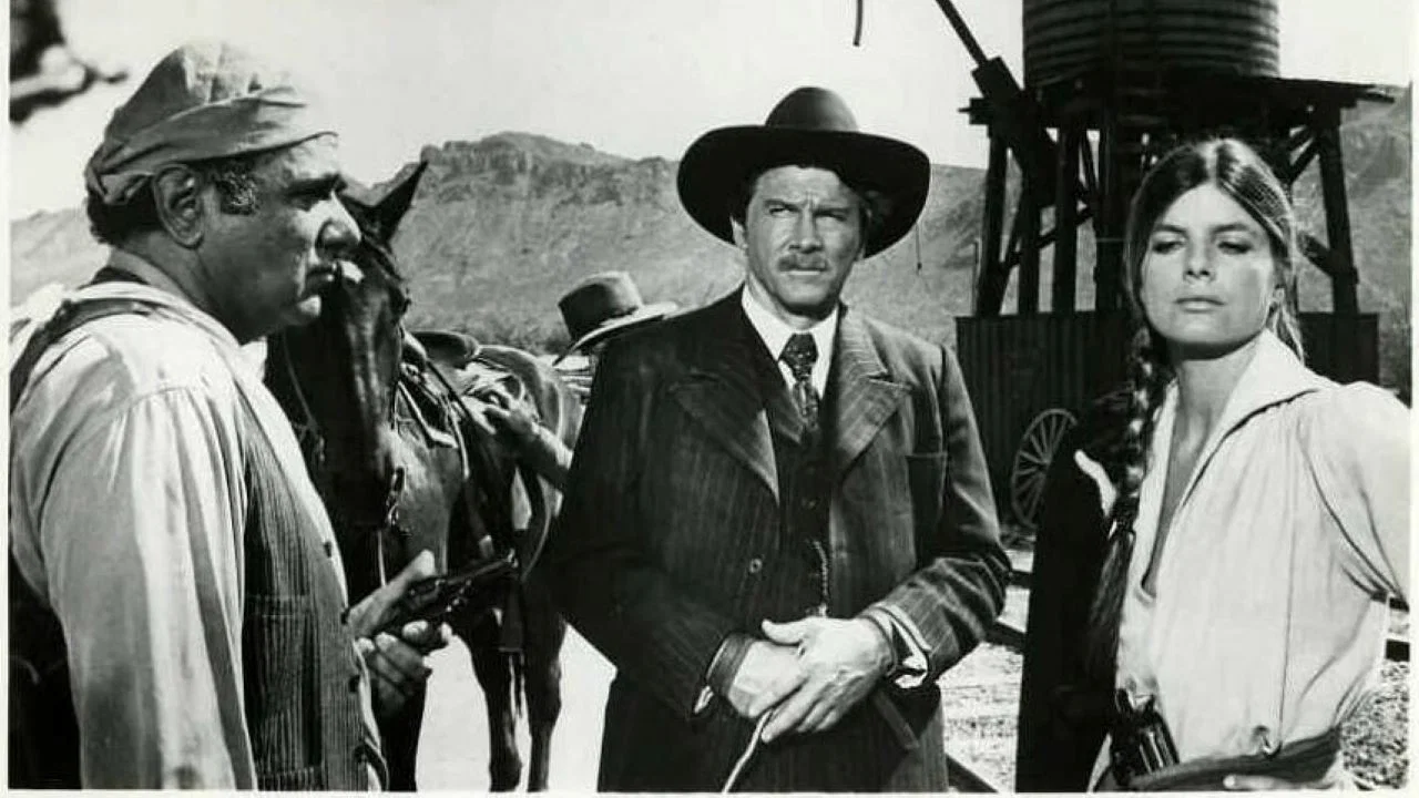 Wanted: The Sundance Woman - 剧照