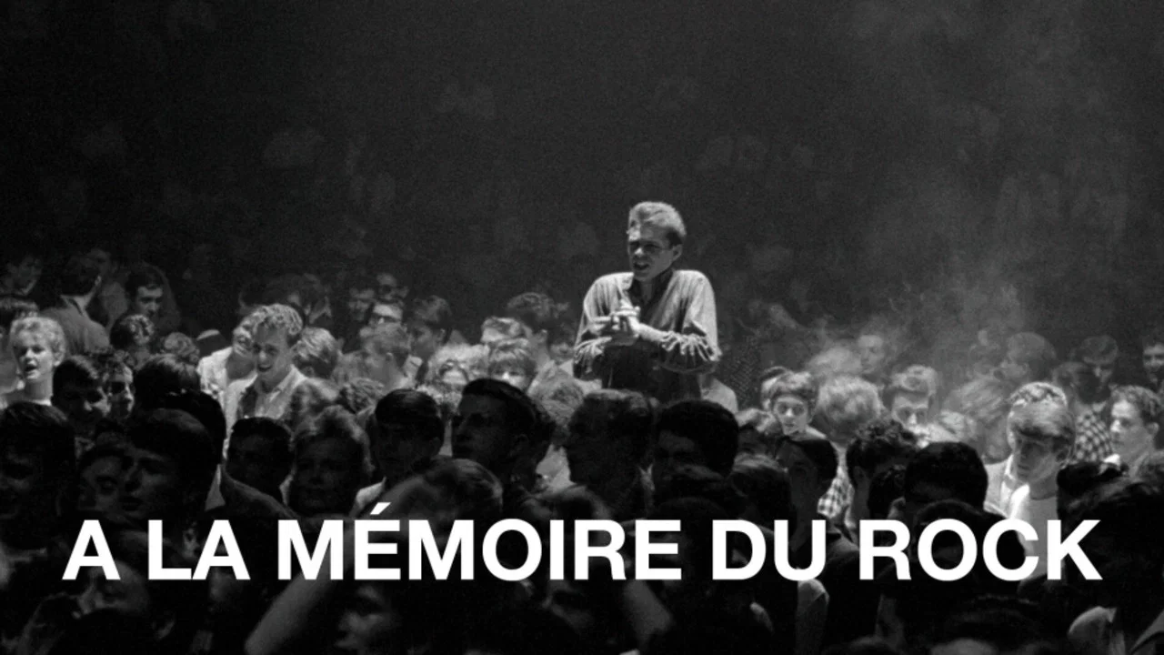 &Agrave; la m&eacute;moire du rock - 剧照