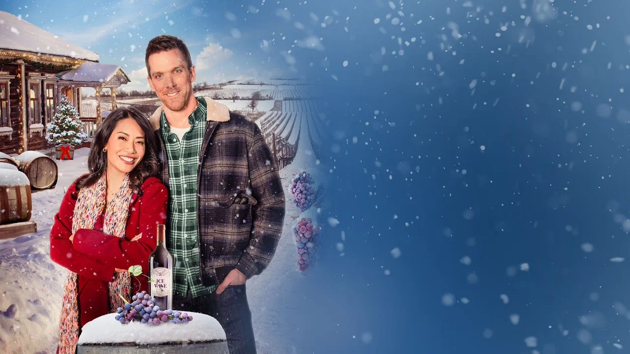 A Vineyard Christmas - 剧照