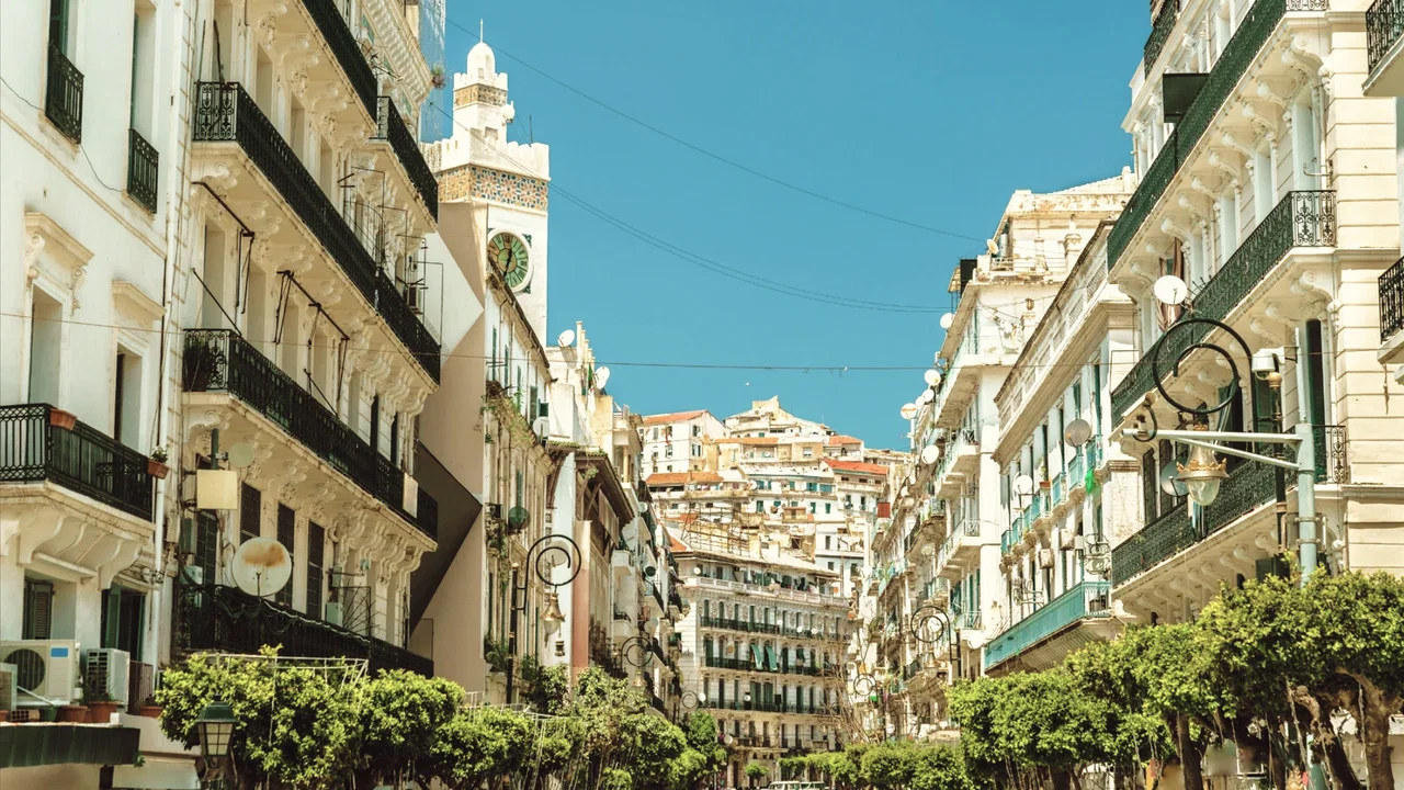 Regards D'en Face - Alger - 剧照