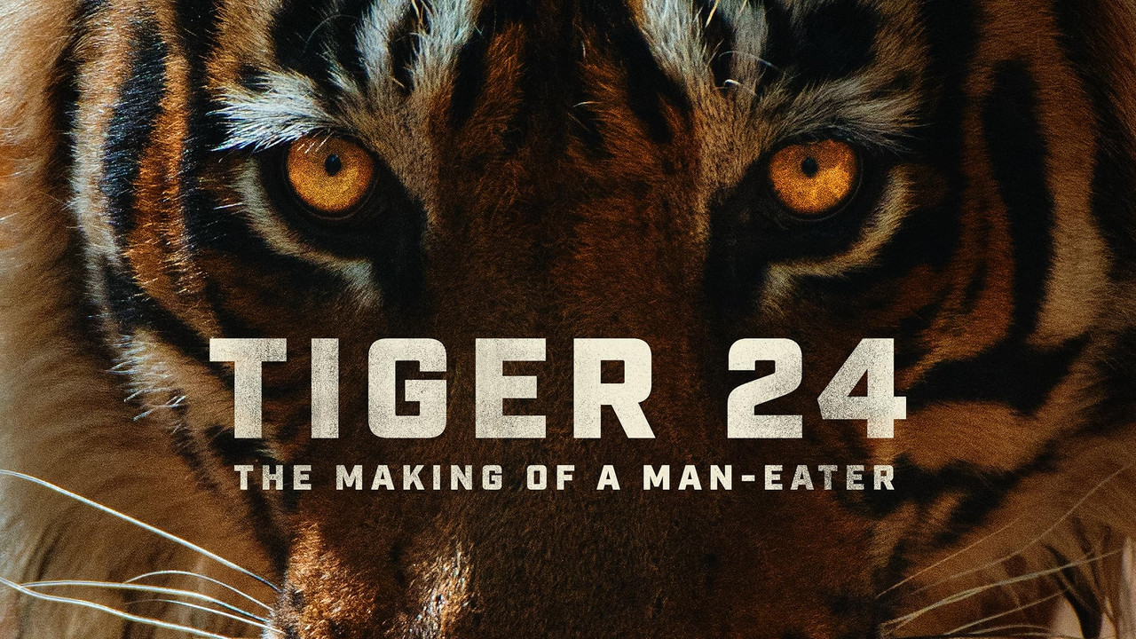 Tiger 24 - 剧照