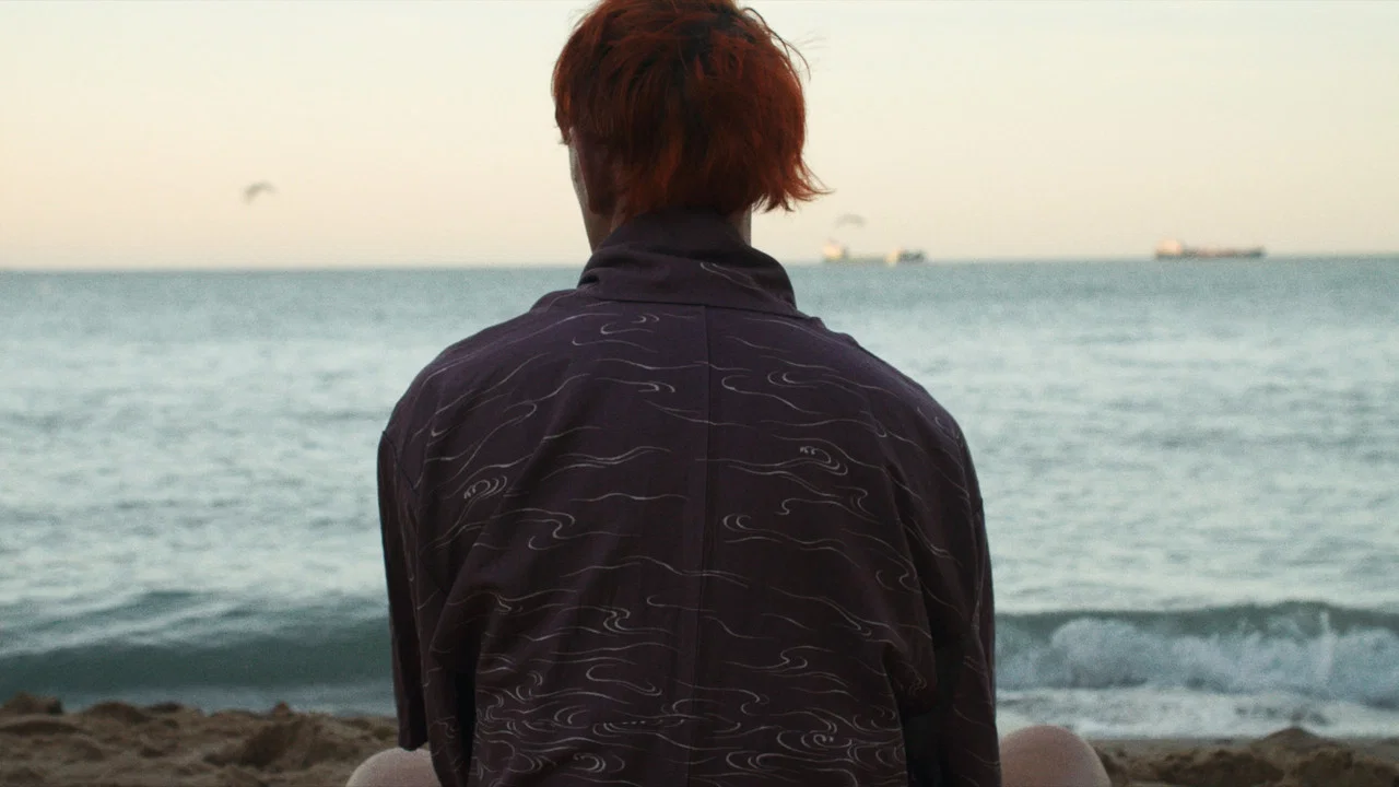 Howls to the Harbour - 剧照