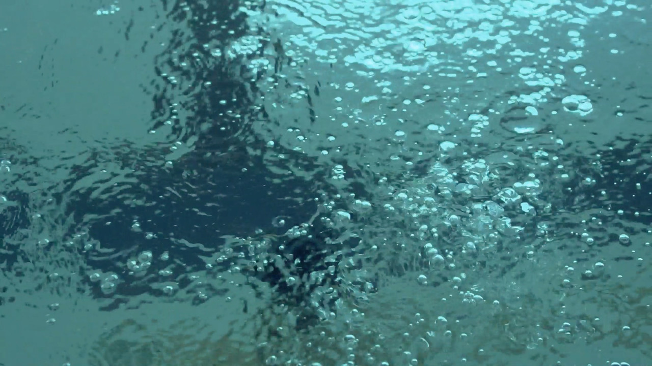 Swimming - 剧照
