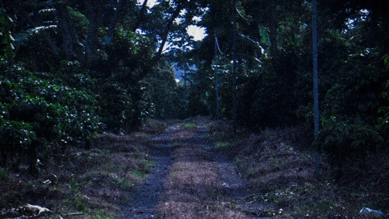 La Trocha - 剧照