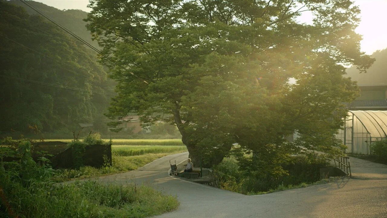 여름밤의 소리 - 剧照