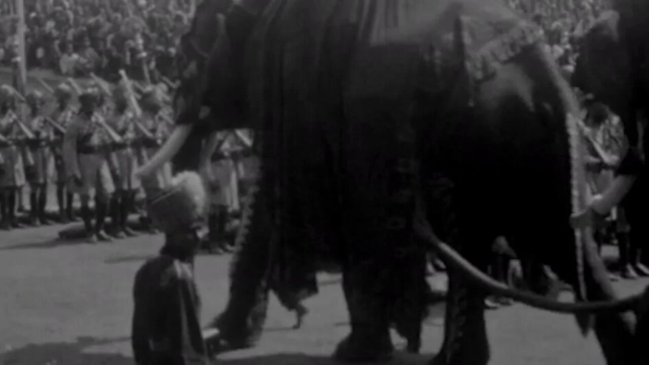 Mysore Dasara - 剧照