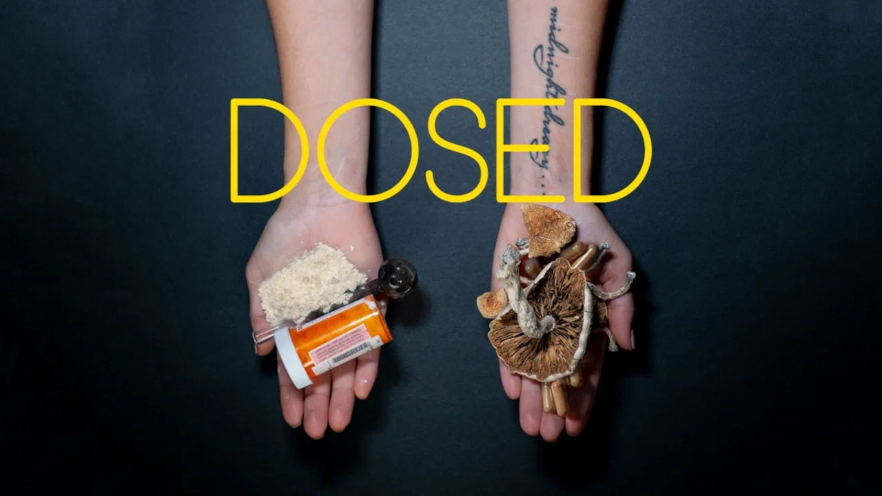 Dosed - 剧照