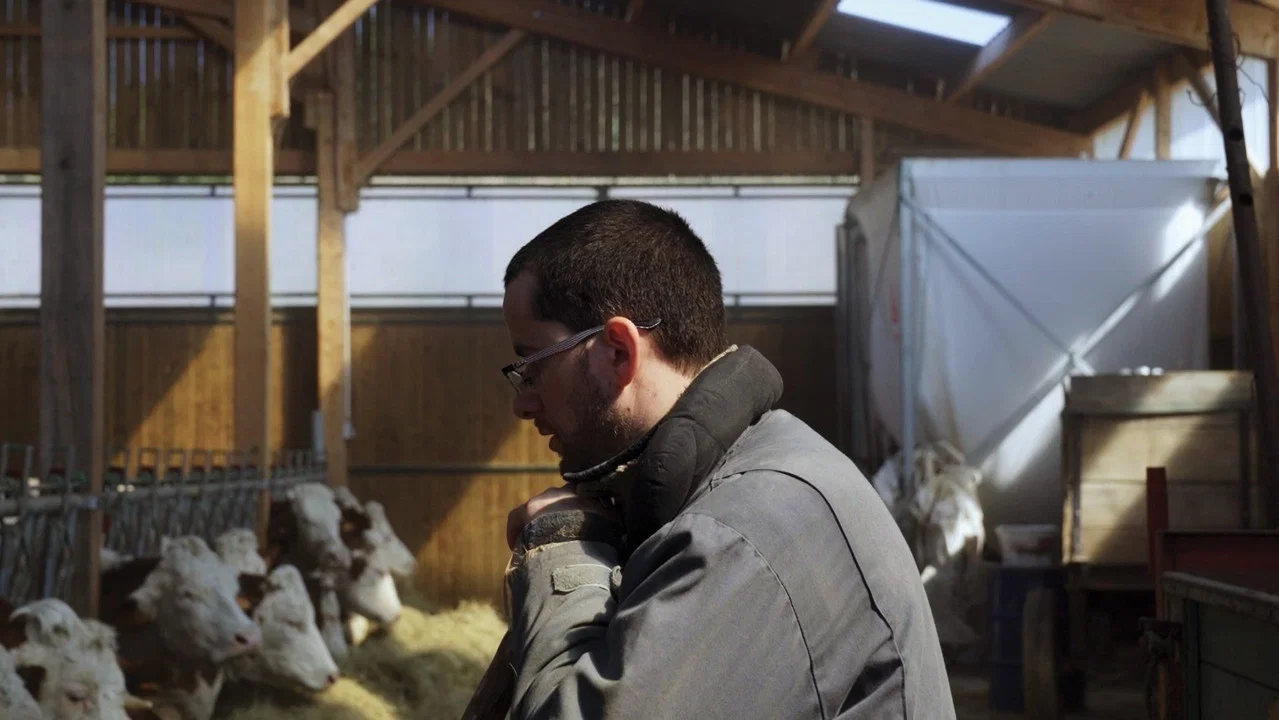 Cyrille, agriculteur, 30 ans, 20 vaches, du lait, du beurre, des dettes - 剧照