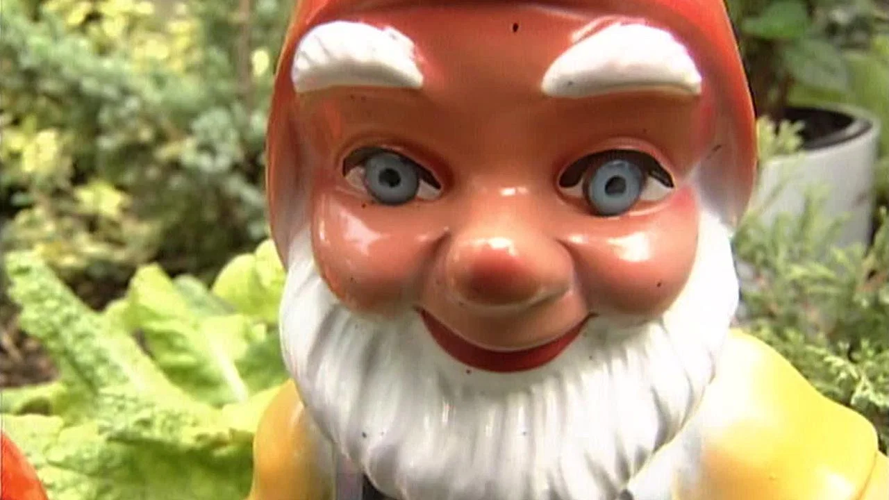 Alltagsgeschichte &ndash; Das kleine Gl&uuml;ck im Schrebergarten - 剧照